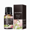 Natural Harmony: 10 Unique Aromatherapy Essential Oils for Every Space