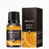 Natural Harmony: 10 Unique Aromatherapy Essential Oils for Every Space